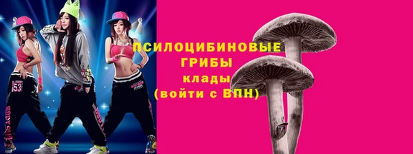 мет Армянск