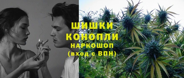 прущие крисы Аркадак