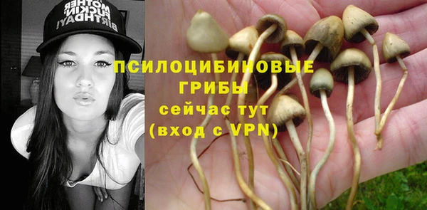 прущие крисы Аркадак