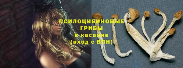 прущие крисы Аркадак