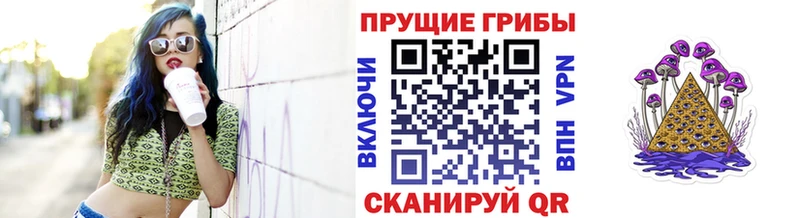 Галлюциногенные грибы ЛСД дарк нет как зайти Ветлуга